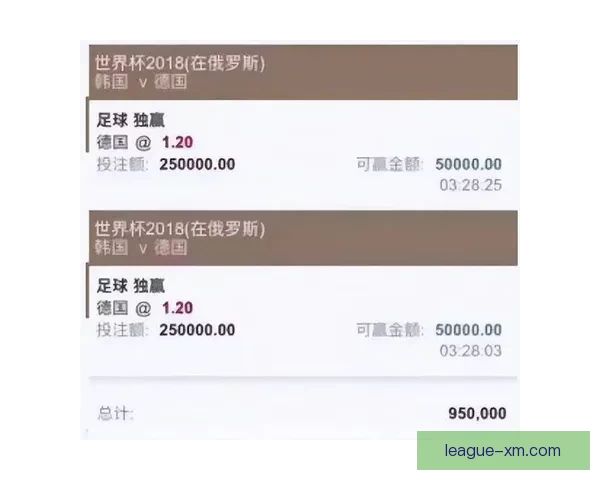 2026世界杯竞猜全攻略精准分析投注技巧与冷门趋势深度解读版